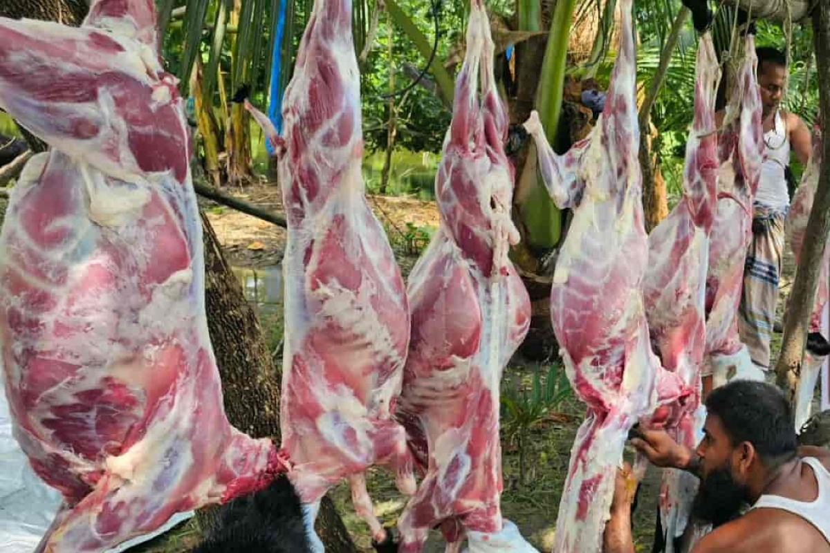 কোরবানী ও মাংস বিতরণ প্রকল্প